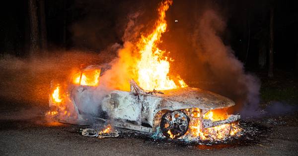 Gestolen BMW met valse kentekenplaten uitgebrand in de bossen bij Hattem - De Stentor