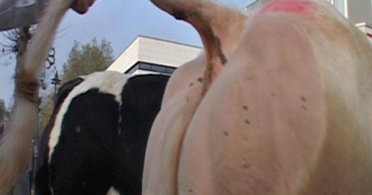 Proefboerderij Soerendonk snel op slot | Cranendonck