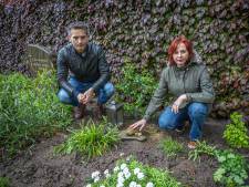 René en Karin zijn radeloos: wie jatte het unieke kruis van het graf van hun ouders in Zwolle?