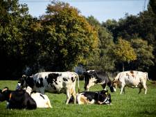 Groenboerenplan biedt mogelijke oplossing