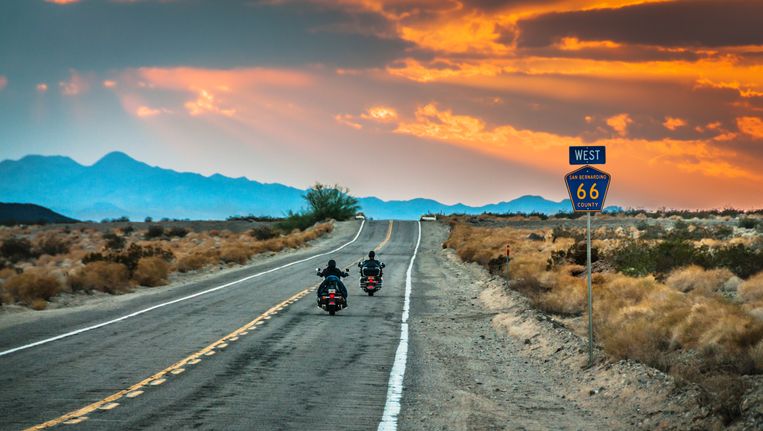 De Nederlandse boomkweker Pieter Hoff heeft het plan opgevat een miljoen bomen te planten langs Route 66. Beeld getty
