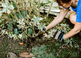 Klusjes die je in februari al kunt doen om je tuin lenteklaar te maken