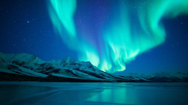 America's Arctic: A Refuge Imperiled