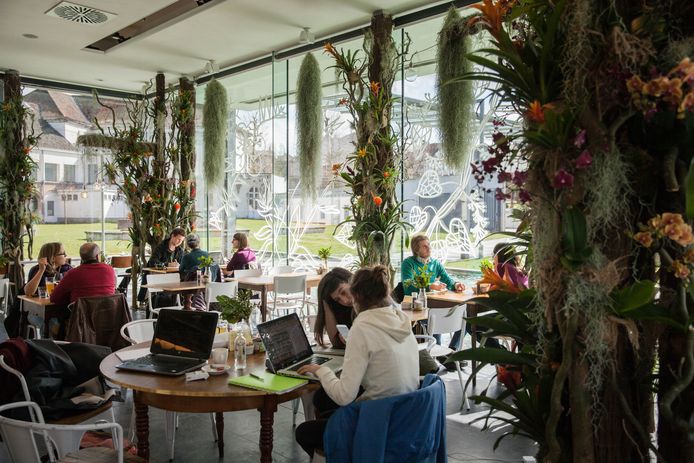 In het STAM-café eet je voortaan tussen de planten.