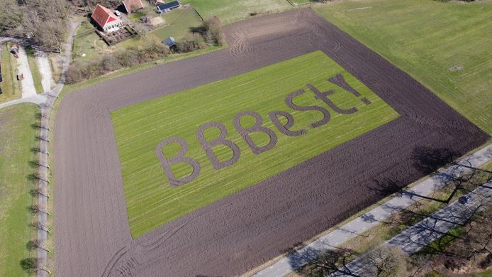 Boer freest BBBest! in land na enorme verkiezingswinst van BBB.