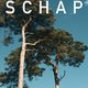 Ali Smith smeedt haar woorden in ‘Gezelschap’ zo naadloos aaneen dat het eindpunt je onverhoeds ontroert