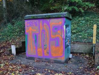 Elektriciteitskasten krijgen kleur met streetartproject