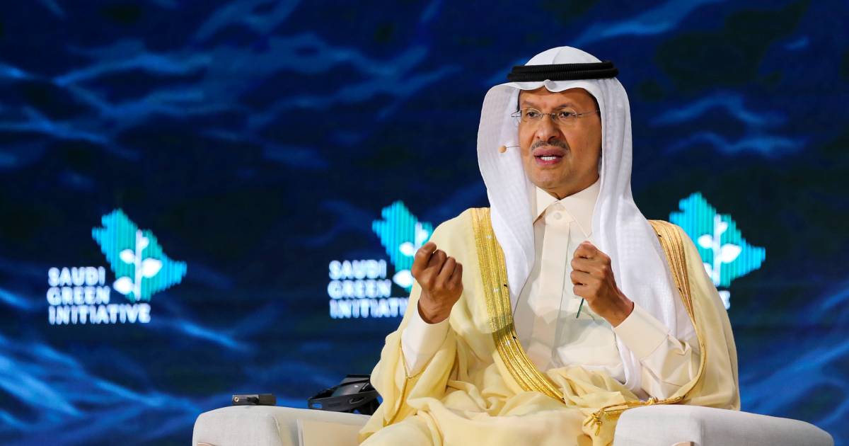 L’Arabia Saudita, produttrice di petrolio, vuole essere climaticamente neutra entro il 2060, ma preferirebbe non farlo internamente