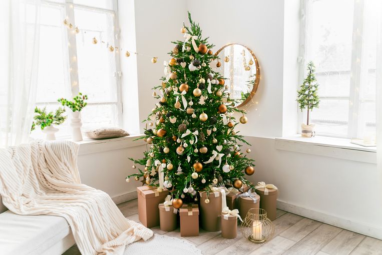 Kerstboom Beeld Getty Images