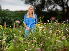 Honey Highway van Deborah Post kleurt alle bermen: 'Op naar 400 km bijensnelweg'