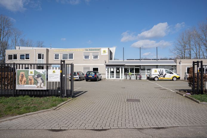 Dierenasiel de Kuipershoek in Klarenbeek is voorlopig gesloten voor bezoekers.