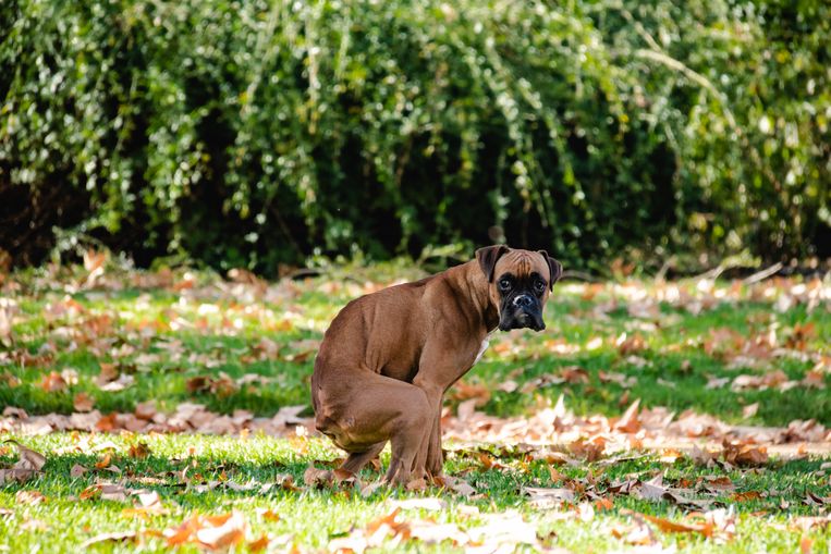 null Beeld Getty Images/iStockphoto