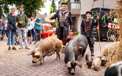 Dierenverhuurder Bert Roelofs uit Appeltern moet dwangsommen van 40.000 euro betalen, vindt de recht