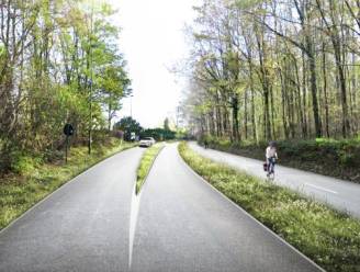 Aanleg fietssnelweg langs Terhulpensesteenweg op schema: nog tot eind dit jaar eenrichtingsverkeer