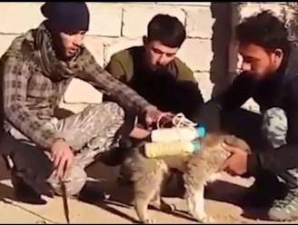 "IS maakt van hondjes telegeleide bommen"