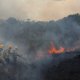 Opnieuw brandt de Amazone: hoogste aantal bosbranden in vijftien jaar
