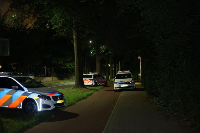 Een inbreker is dinsdagavond op heterdaad betrapt in een woning aan de Loonsebaan in Vught.
