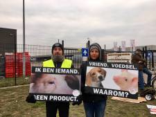 Demonstratie van dierenactivisten bij slachthuis