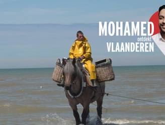 “Waarom geen Brabants trekpaard op onze Vlaamse vlag?”: Mohamed ontdekt Vlaanderen
