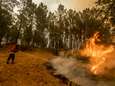 Felle bosbranden in Portugal zijn “onder controle”