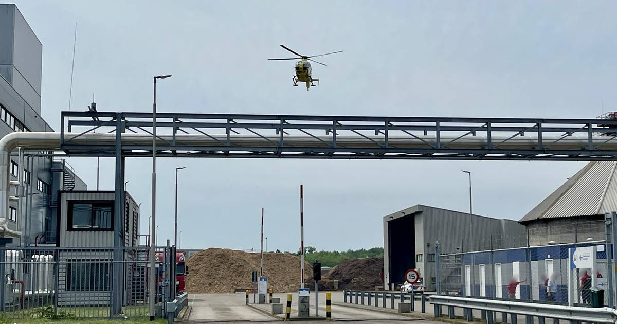 Vlag hele dag halfstok bij biomassacentrale na fataal shovelongeluk: ‘Op verzoek van onze medewerkers’.