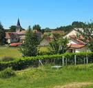 Het Franse platteland herleeft dankzij ecologische ingrepen 