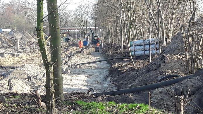 Het voormalige terrein van voetbalclub RWB in Waalwijk wordt bouwrijp gemaakt. Een projectontwikkelaar gaat er een campus bouwen voor 400 arbeidsmigranten.