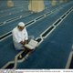 Belgische moslims krijgen korans van organisatie uit Qatar