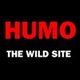 Humo.be vernieuwd: wat denkt u ervan?