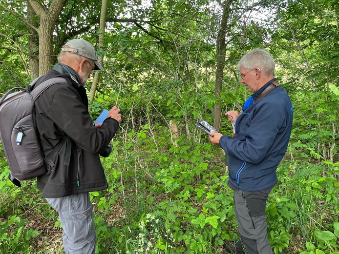 Martien van Dooren (links) en John Hermans slaan via de app ObsIdentify de waargenomen soort op.