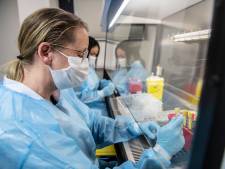 Valse coronavrij-verklaringen in omloop: artsen reageren geschokt