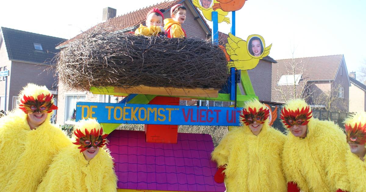 Uitslag optocht Hooge Mierde 2015: veel haoi en weinig boeren