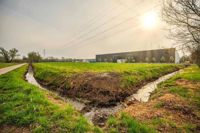 Op deze plek langs de Dender komt het regionaal overslagcentrum van Aalst.