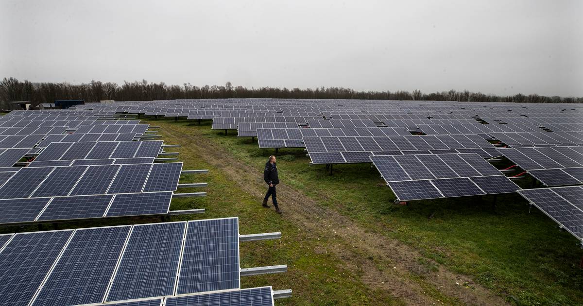 Niet één huis profiteert van mega-zonnepark met 17.500 gloednieuwe panelen in Azewijn; hoe zit dat?