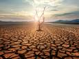 Opgeslagen warmte in landmassa van planeet ligt vandaag twintig keer hoger dan in 1960