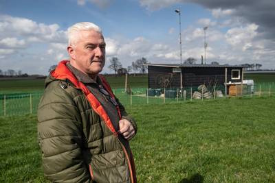 Schaapskooi zonder schapen moet na bijna 60 jaar weg: ‘Dit gaat toch helemaal nergens over?’