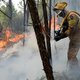 Aanhoudende droge hitte leidt tot hevige branden in Europa