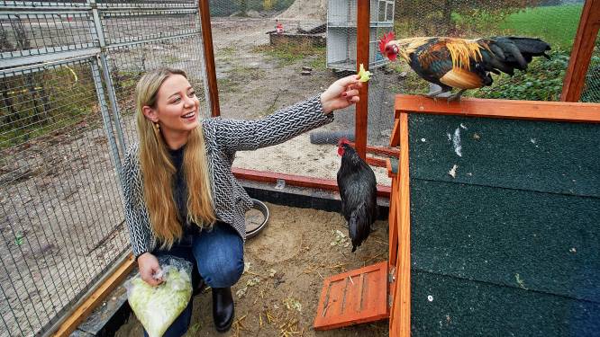Dierentehuis in Den Bosch is in beeld voor zieke zwanen, roofvogels en andere ‘wilde’ dieren  