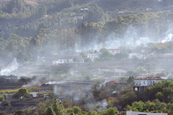 Smoke rises from a forest fire in Punta Gorda, La Palma.