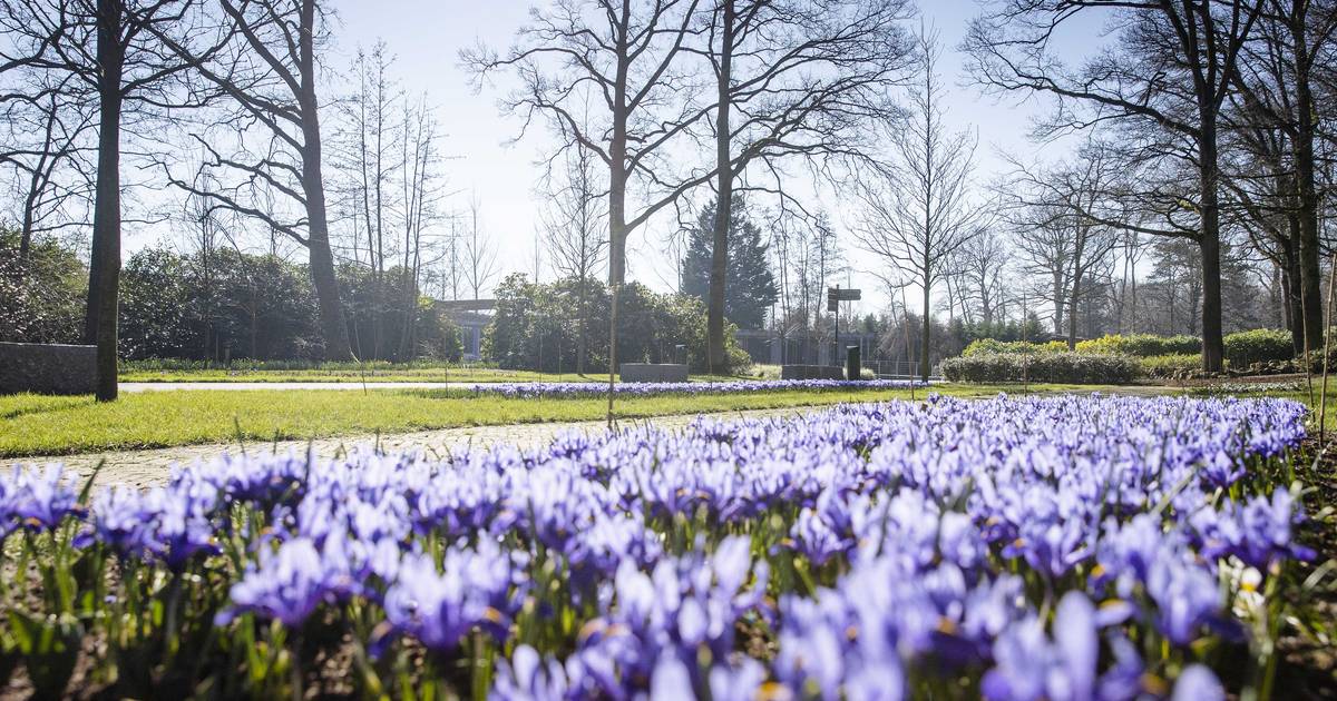 It’s really spring now: temperatures up to 16 degrees at the end of this week |  Instagram HLN