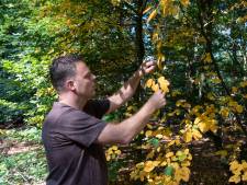 Is de droogte in de natuur over?