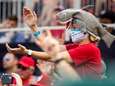 Kampioen dankzij Baby Shark? Dit is wat je moet weten over de World Series