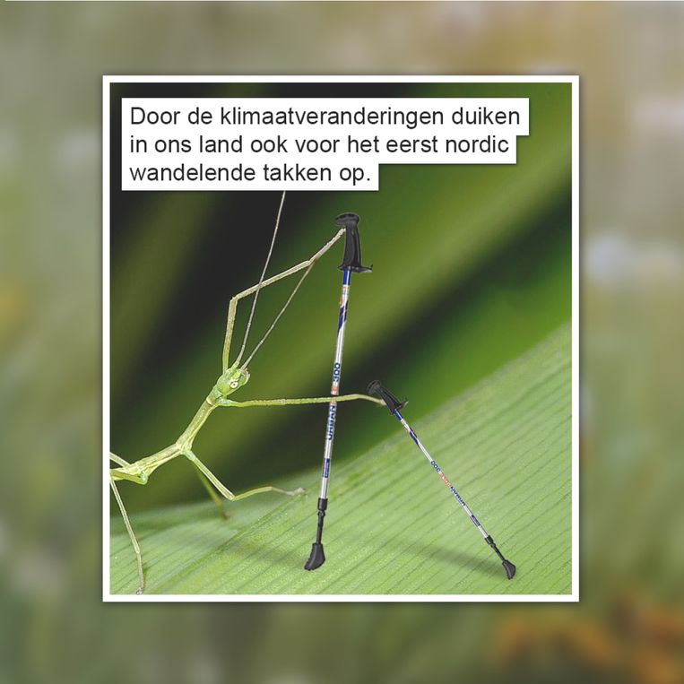 Gat van de wereld Beeld GVDW