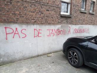 Minister Jambon niet welkom in Molenbeek, maar: "Kanaalplan werpt zijn vruchten af"
