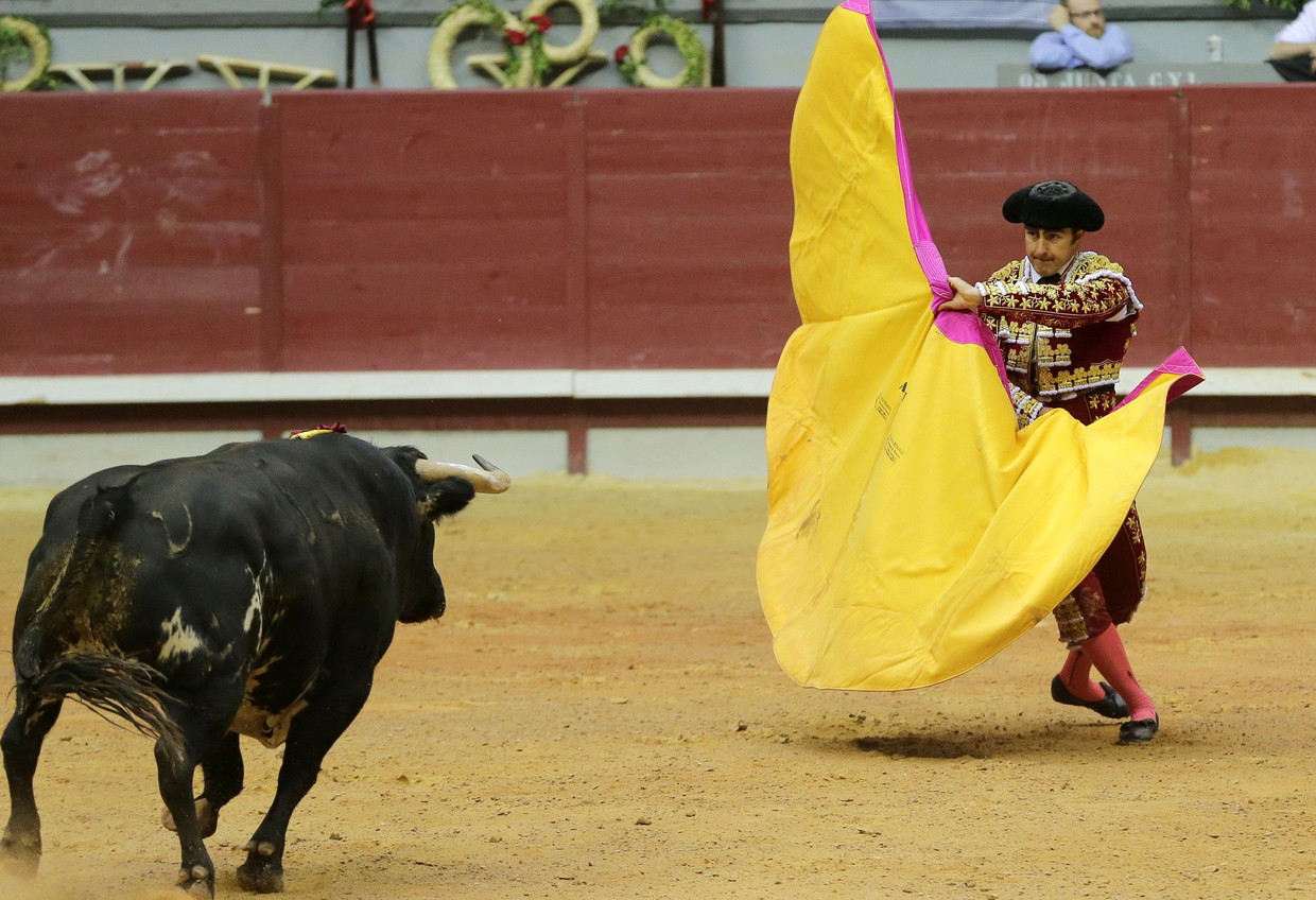 Deze 'vegan streaker' verstoorde een stierengevecht