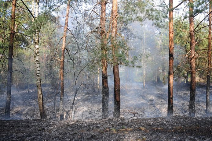 Natuurbrand bij Maarheeze snel onder controle.