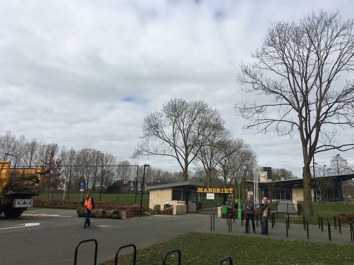 Een boom bij de ingang van voetbalvereniging Margriet is gekapt (links), een andere met blauwe stip (rechts) staat nog overeind.