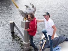 Een stalen exemplaar van 150 kilo vervangt verdwenen houten duif in de haven: ‘Dit wordt de nieuwe Stier’
