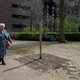 Een paal in plaats van een boom in een perkje op de KNSM-laan