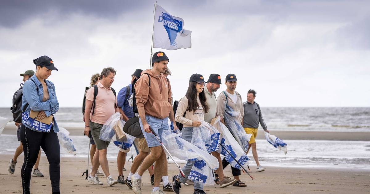Plus de 27 000 mégots nettoyés sur les plages néerlandaises, trouvaille spéciale à Scheveningen |  La Haye